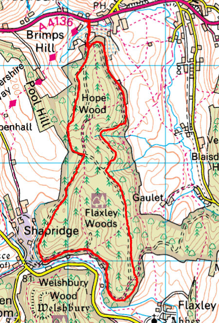 longhope hope wood loop